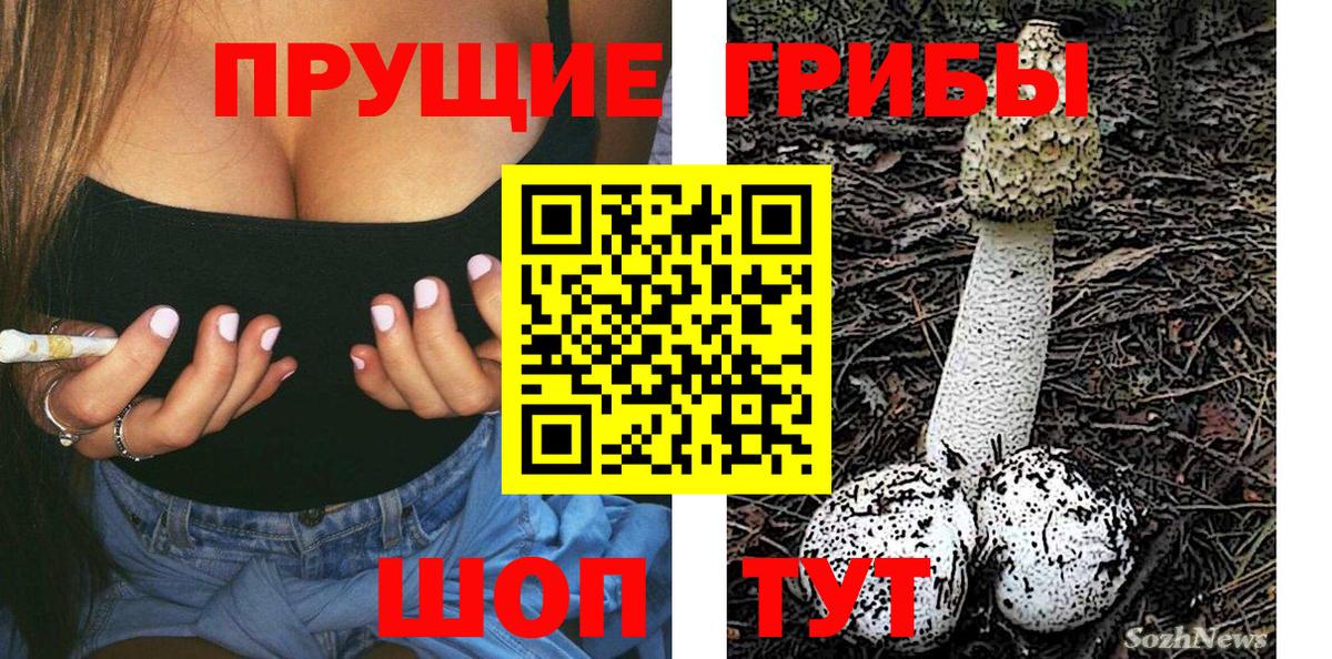 Псилоцибиновые грибы GOLDEN TEACHER Чебоксары